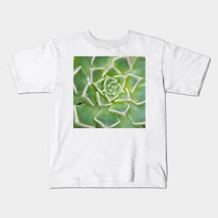 Echeveria Succulent Plant Kids T-Shirt